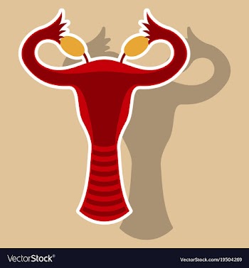 Sticker showing female reproductive system vector image