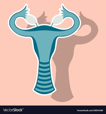Sticker showing female reproductive system vector image