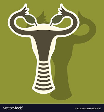 Sticker showing female reproductive system vector image