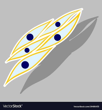 Sticker showing type of muscle cells vector image