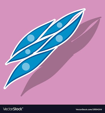 Sticker showing type of muscle cells vector image