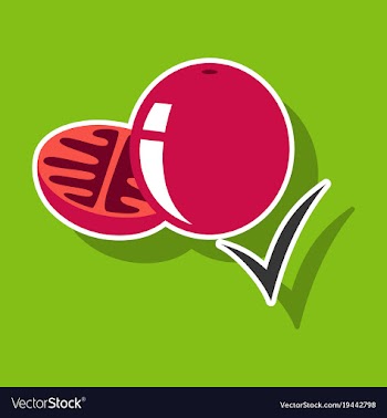 Sticker tomato isolated on background vector image