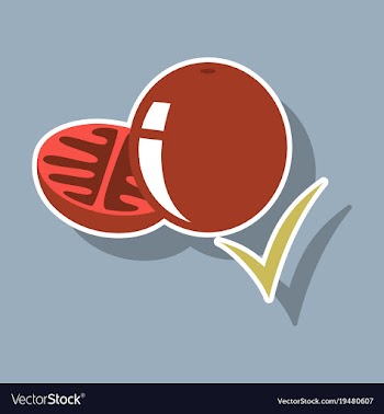 Sticker tomato isolated on background vector image