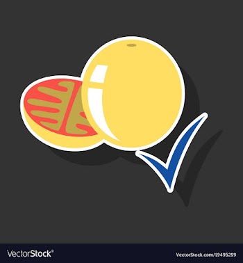 Sticker tomato isolated on background vector image