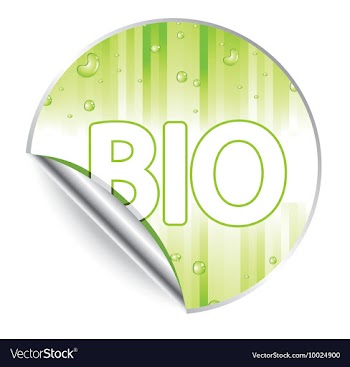 Sticker vector image