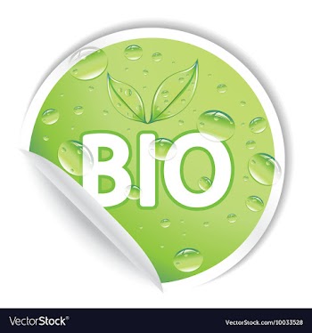Sticker vector image