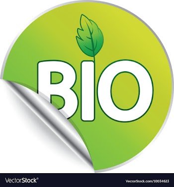 Sticker vector image