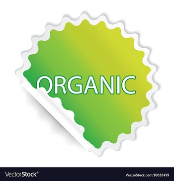 Sticker vector image
