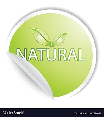 Sticker vector image
