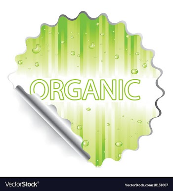 Sticker vector image