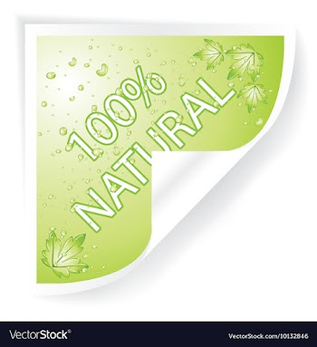 Sticker vector image