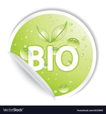 Sticker vector image