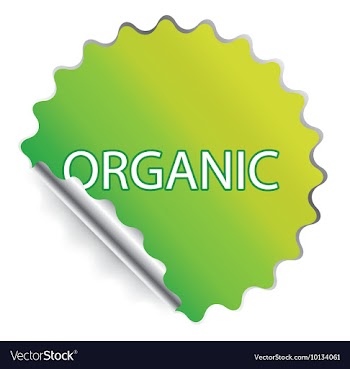 Sticker vector image