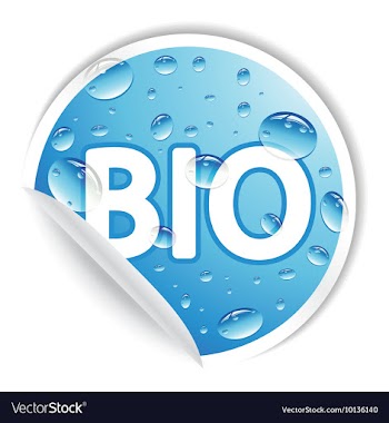 Sticker vector image