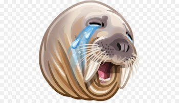 Sticker VK Walrus Telegram Odnoklassniki - walrus 