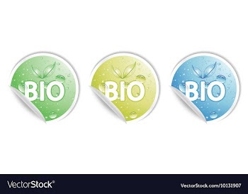 Stickers vector image