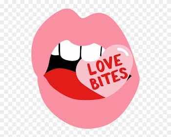 Sticky Sandy Love Pack Messages Sticker-1 - Camera Icon