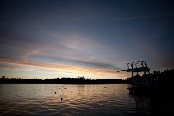 Still Lake With Divingboard