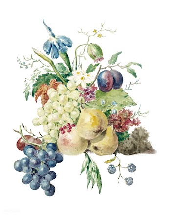 Still life of flowers and fruits by Jean Bern.. | Free stock vector - 481431