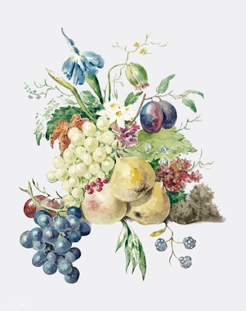Still life of flowers and fruits by Jean Bern.. | Free stock vector - 481451