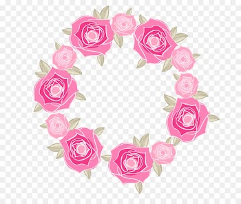 Still Life: Pink Roses Beach rose Garden roses - Pink rose flower decorative borders 