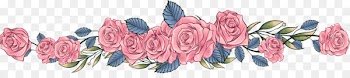 Still Life: Pink Roses Computer file - Pink hand-painted roses dividing line 