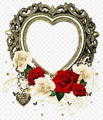 Still Life: Pink Roses Flower Garden roses Clip art - rose 