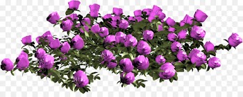 Still Life: Pink Roses Image Painting Vector graphics Portable Network Graphics - painting 