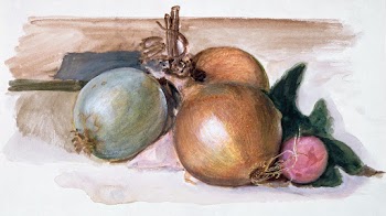 Still-Life - Study of Onions… | Free public domain illustration