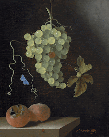 Still Life with a Hanging | Free Photo - rawpixel