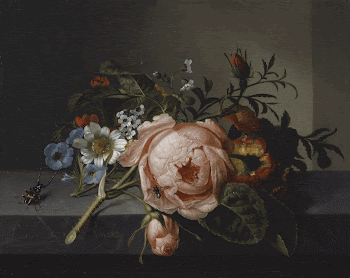 Still life with a rose | Free Photo - rawpixel