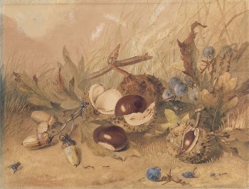 Still Life with Acorns and | Free Photo - rawpixel