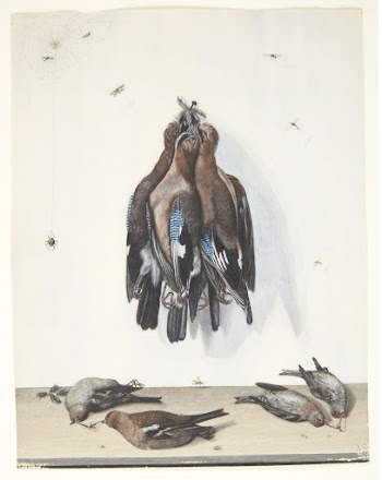 Still life with birds | Free Photo - rawpixel