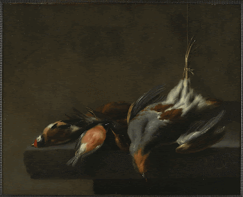 Still life with dead birds. | Free Photo - rawpixel