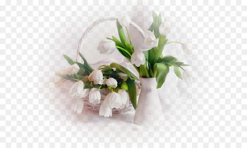Still life with flowers Flowers and Fruit Tulip - flower 