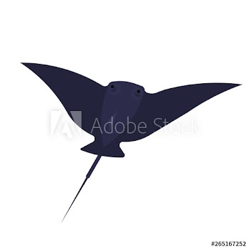 Stingray animal