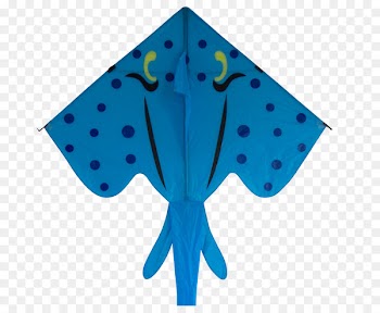 Stingray Kite Illustration Fish Photograph - rips flyer 