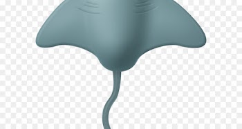 Stingray, Marine Life, Computer Icons, Blue, Turquoise PNG
