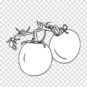 Stir-fried tomato and scrambled eggs Vegetable Kindergarten, Jane pens, tomatoes, branches and tomatoes transparent background PNG clipart