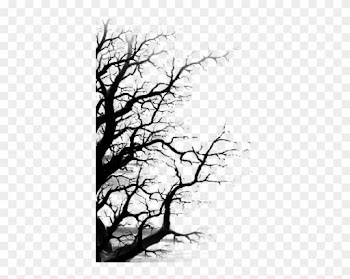 Stock Dead Tree By Jassy2012 - Tree Water Color Black