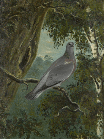 Stock Dove (1879) painting in high | Free Photo - rawpixel