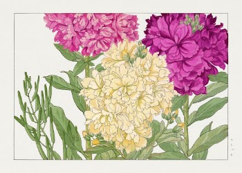 Stock flower woodblock painting by Tanigami | Free Photo Illustration - rawpixel