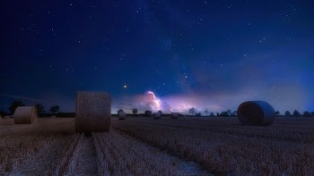 Stock Hay Photograph