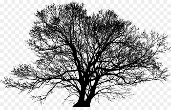 Stock illustration Silhouette Stock photography Dreamstime -  