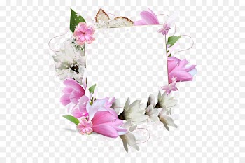 Stock photography Borders and Frames Picture Frames Flower Photo Frame - bahia background 