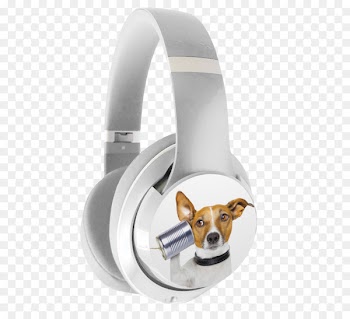 Stock Photography, Dog, Royaltyfree, Canidae PNG
