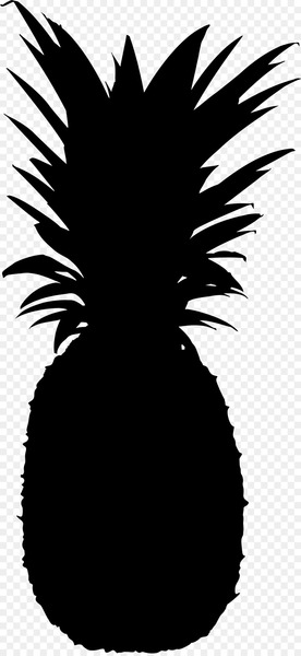 Stock photography Fotosearch Image Pineapple -  