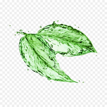 Stock photography Image Royalty-free Leaf Shutterstock - Leaf 