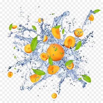 Stock Photography, Orange, Price, Citrus, Plant PNG