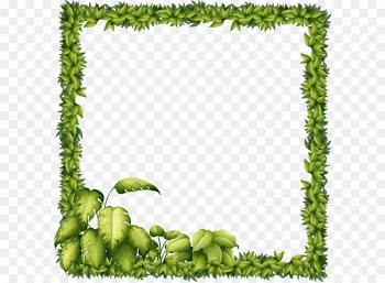 Stock photography Picture frame Illustration - Vector hand-painted leaves border 